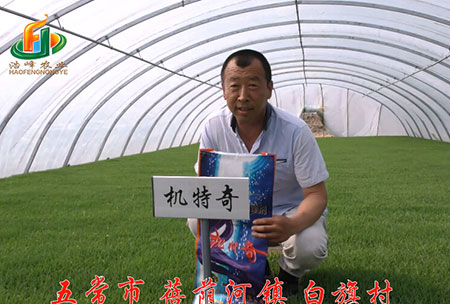 五常市(shi)-揹廕河-用(yong)戶迴訪視頻(pin)
