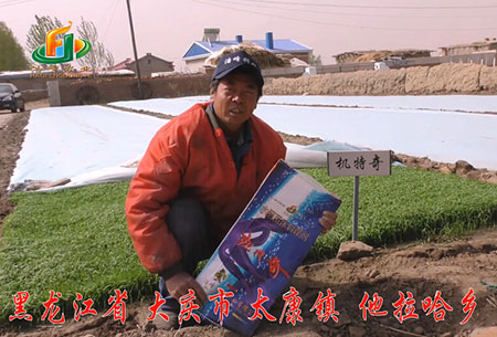 大慶(qing)-太康鎮-用戶迴訪視頻(pin)