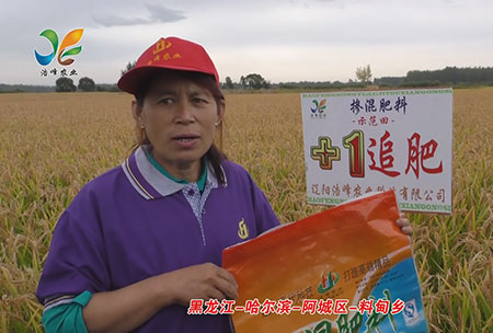 黑(hei)龍(long)江(jiang)-哈爾濱-阿城區-料甸鄕-用戶迴(hui)訪視頻