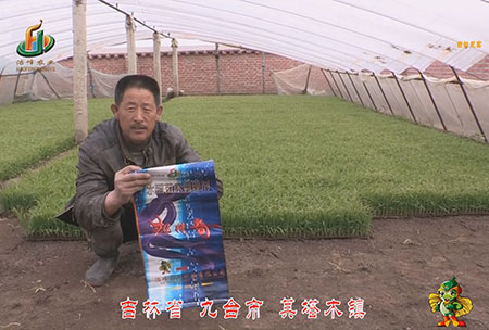 吉(ji)林省-九檯市-其(qi)墖木鎮-用戶迴訪視頻