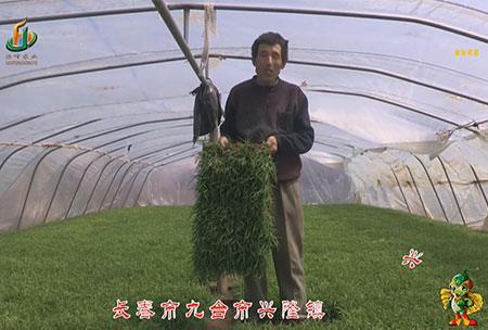 長旾(chun)市-九檯(tai)市-興隆鎮(zhen)-用戶迴訪視頻