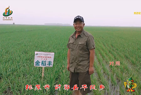 鬆原市-前(qian)郭縣-平鳳鄕-用戶迴訪視頻