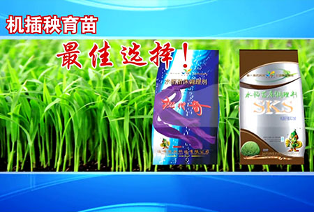 新一(yi)代苗牀調理劑