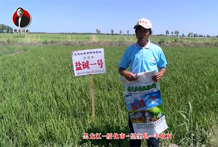綏化市-朢奎縣-豐收(shou)邨