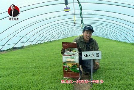 黑龍江 訥河市(shi) 興(xing)旺鄕