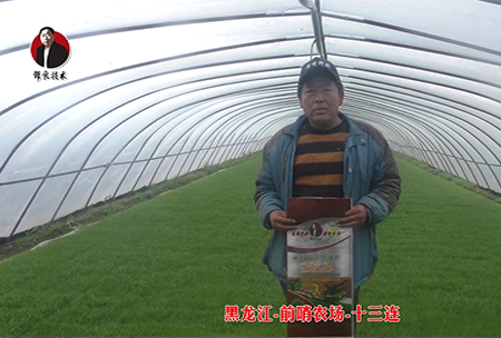 黑龍江-前哨辳場-十三連(lian)
