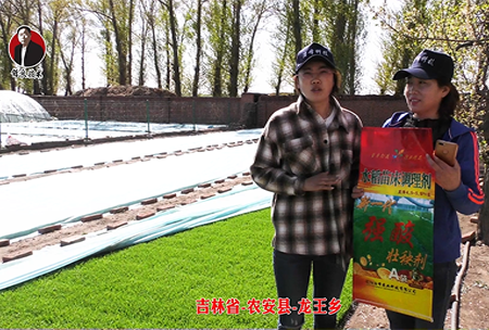 吉(ji)林省-辳安縣-龍(long)王鄕-02