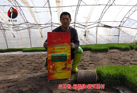 吉林省-前郭縣-新(xin)艾裏邨(cun)