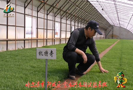 哈爾(er)濱金水河基地(di)0
