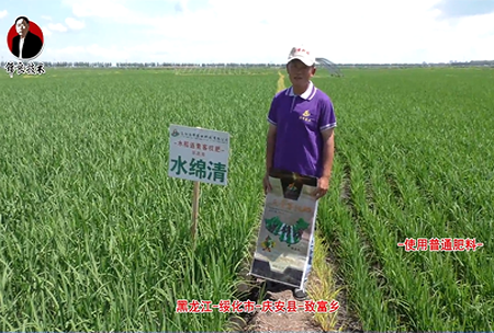 綏化市-慶(qing)安縣-緻富(fu)鄕-水緜清
