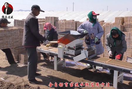 《錦良技術》水溶壯秧劑(ji)-流水線應用